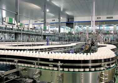China PET a bebida da garrafa que faz a máquina produzindo o amendoim da noz para ordenhar/suco de milho fornecedor