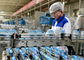 Linha de produção equipamento da leiteria das bactérias do ácido lático de fabricação do iogurte/máquina fornecedor